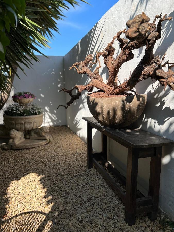Gasthuis Del Vino La Costera (adults Only) Altea